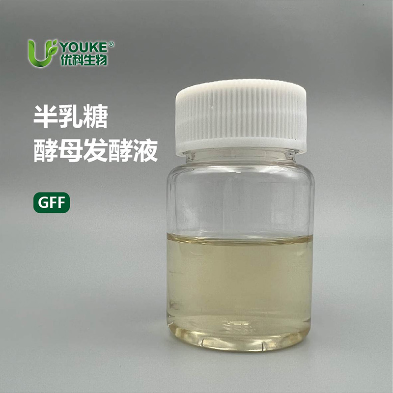 半乳糖酵母发酵液原料实拍图｜优科生物
