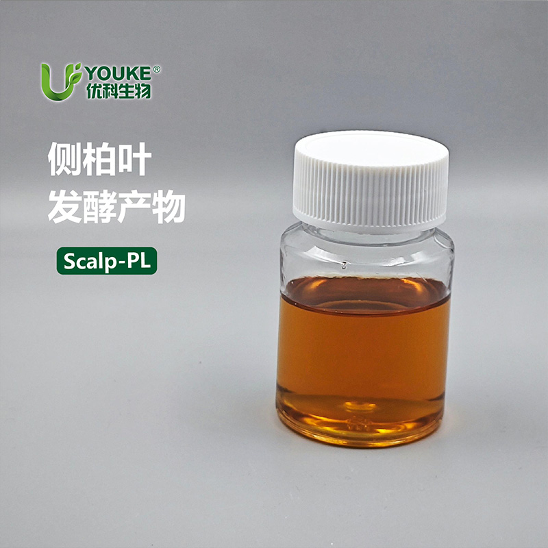 侧柏叶发酵产物原料实拍图｜优科生物