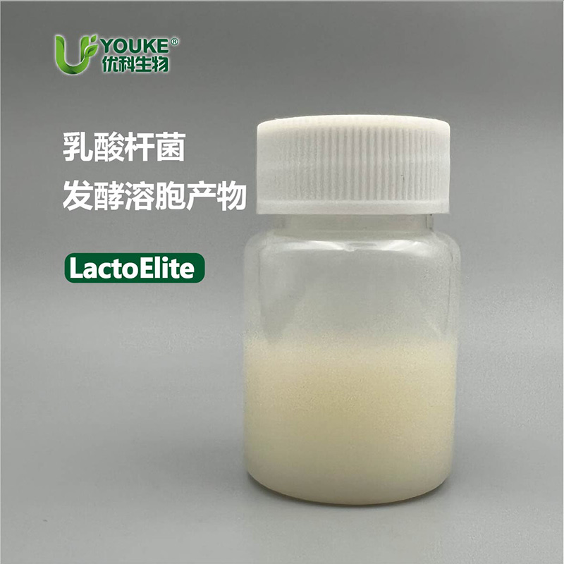 乳酸杆菌发酵溶胞产物原料实拍图｜优科生物
