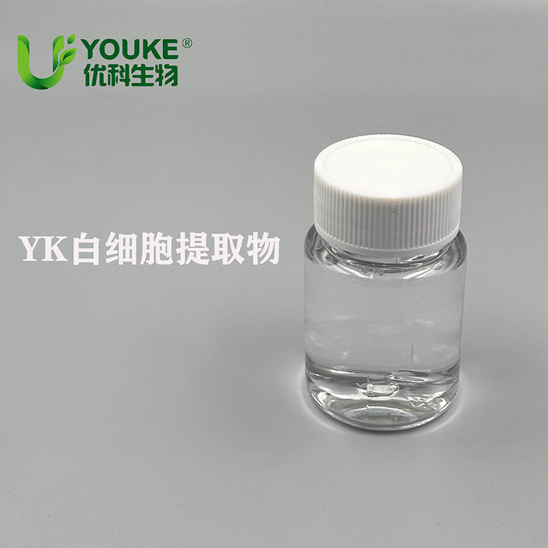 YK白细胞提取物原料实拍图｜优科生物