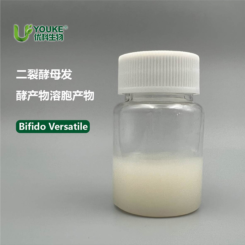 二裂酵母发酵产物溶胞产物原料实拍图｜优科生物