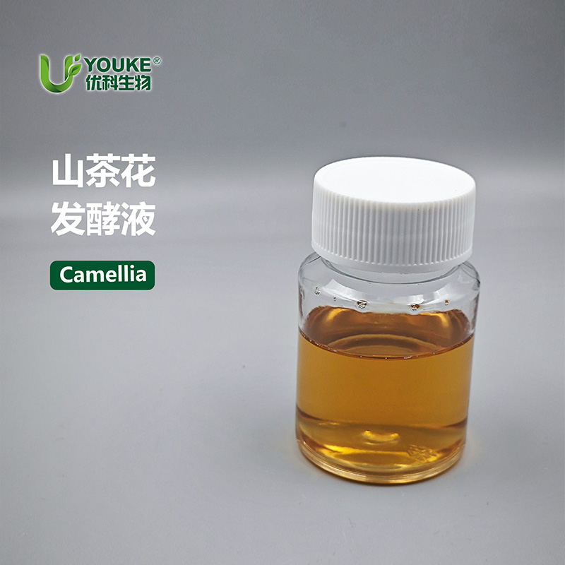 山茶花发酵液原料实拍图｜优科生物