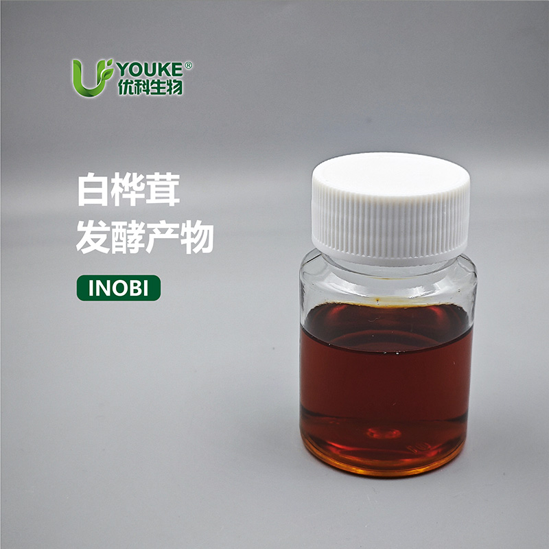 白桦茸发酵产物原料实拍图｜优科生物