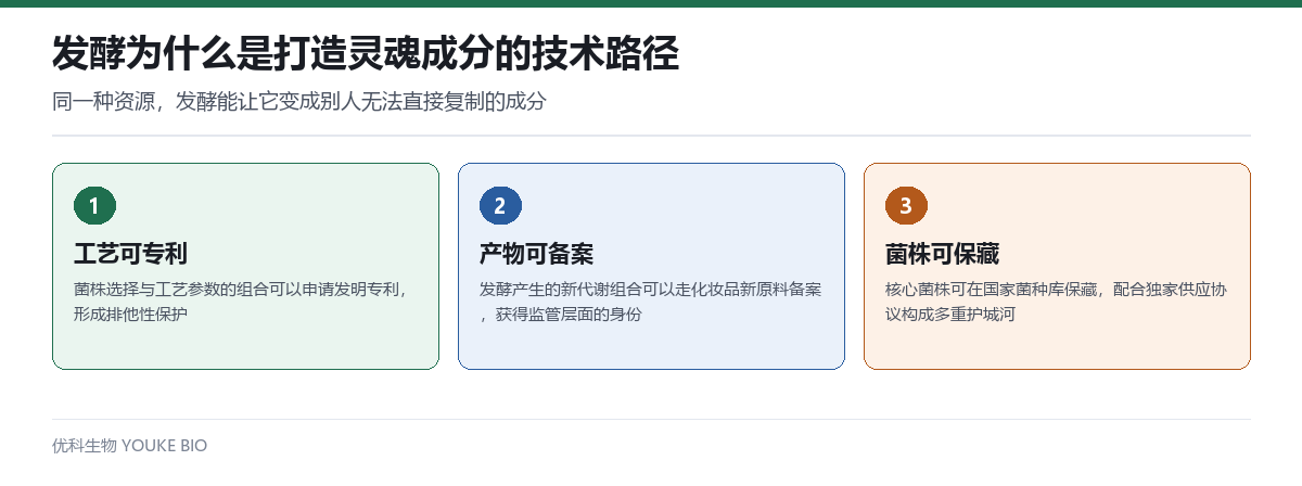 发酵工艺打造灵魂成分的三条路径:工艺可专利、产物可备案、菌株可保藏