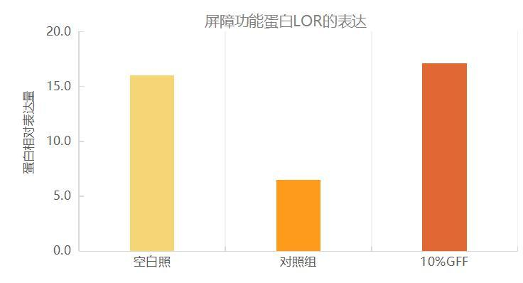 小鼠皮损 loricrin 免疫组化表达对比