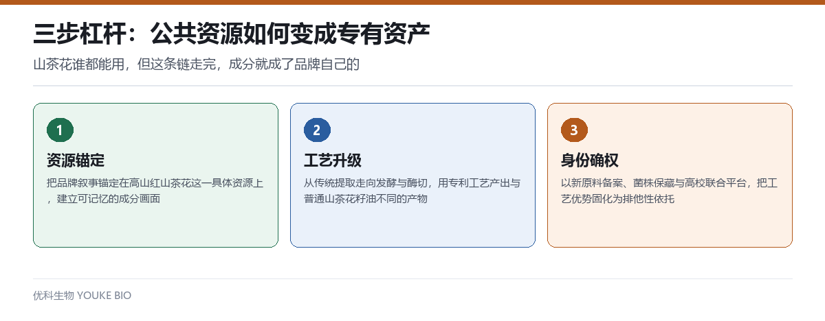 三步杠杆:资源锚定、工艺升级、身份确权