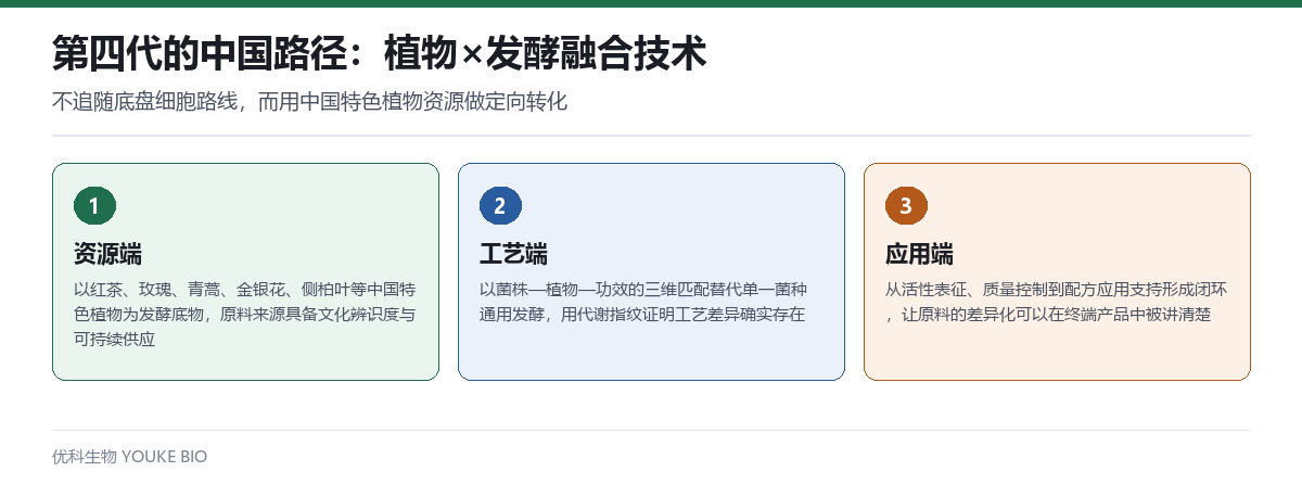 第四代中国路径:植物发酵融合技术的资源端、工艺端与应用端