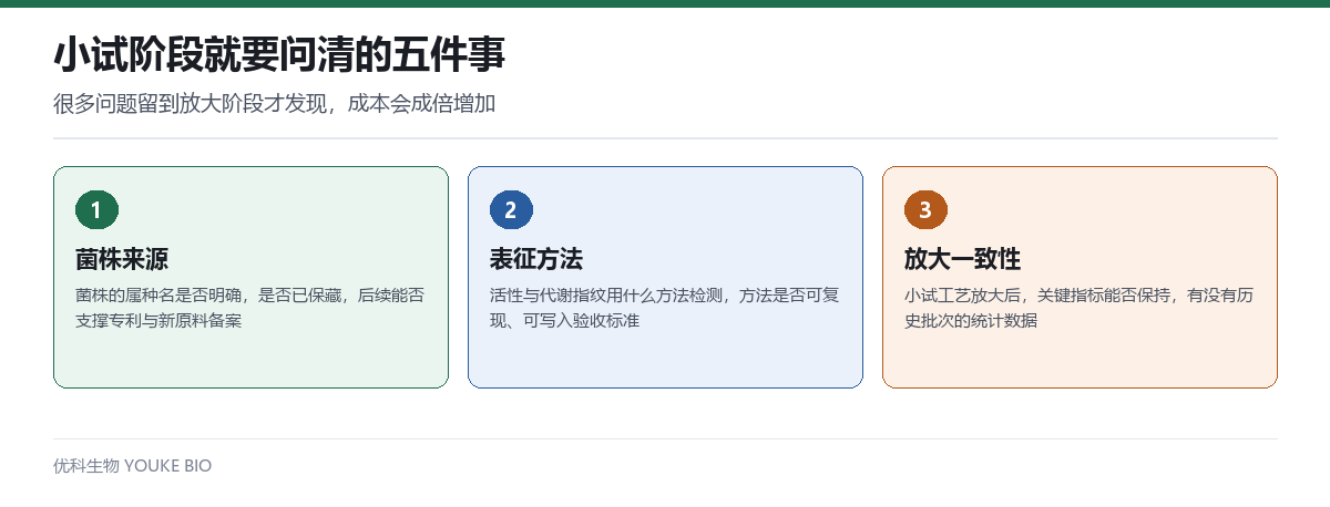 小试阶段要问清的问题:菌株来源、表征方法、放大一致性等