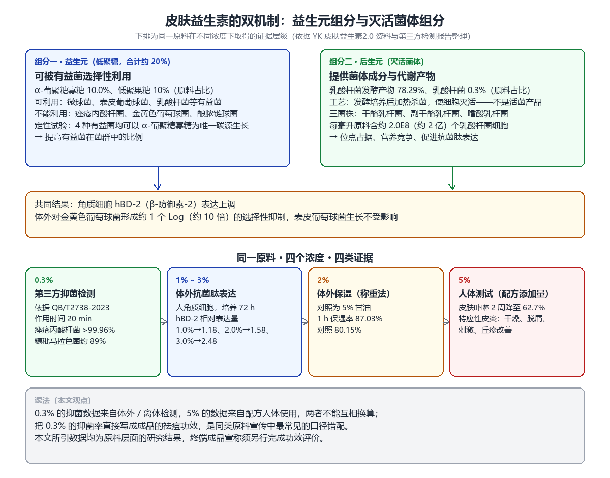 皮肤益生素的双机制示意图,上排为益生元组分与后生元组分两个作用路径,下排为 0.3%、1%~3%、2%、5% 四个浓度对应的四类证据