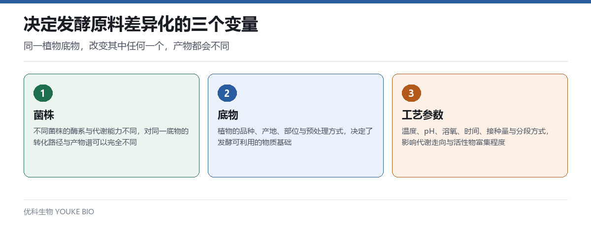 决定发酵原料差异化的三个变量:菌株、底物与工艺参数