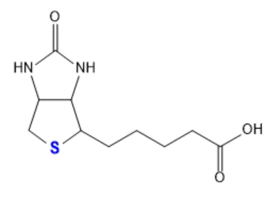 含硫氨基酸与硫元素活性分子结构示意（文档原图）