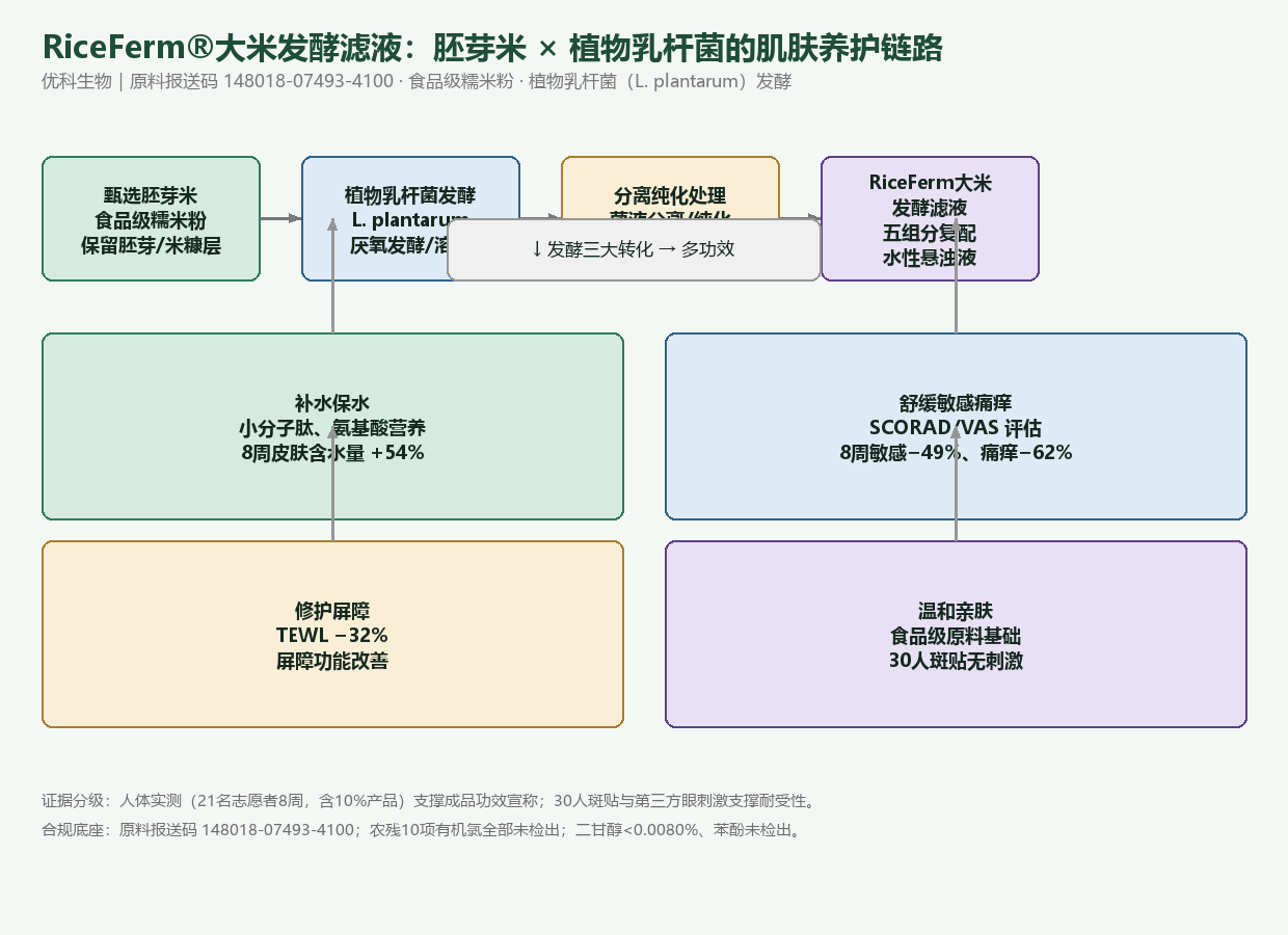 RiceFerm大米发酵滤液工艺与米源机理链:胚芽米经植物乳杆菌发酵得到多功效发酵滤液,补水保水、舒缓敏感痛痒、修护屏障