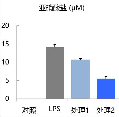 NF-κB 通路相关 Western Blot 原图：Iκ-Bα、核内 NF-κB、β-actin（文档原图）