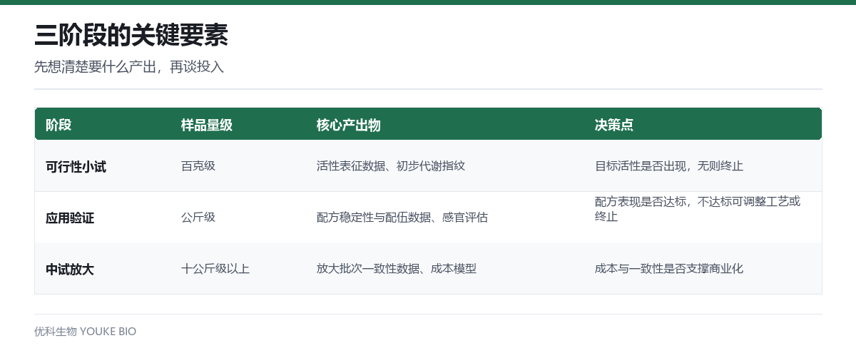 三阶段的关键要素:样品量级、核心产出物与决策点对照表