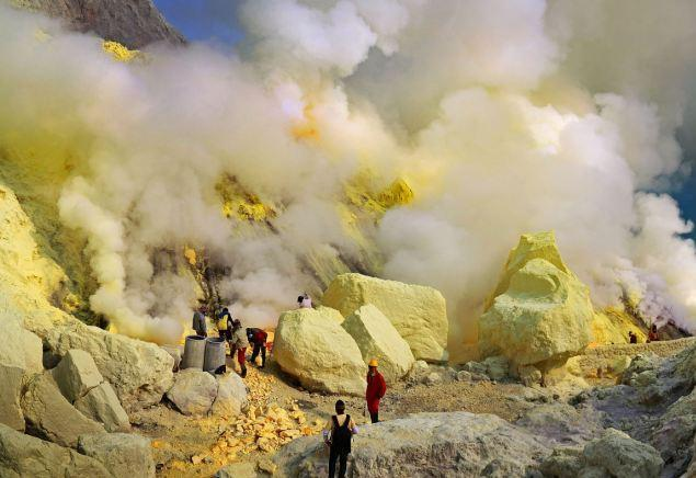 火山硫矿与极端环境酵母菌来源示意（文档原图）