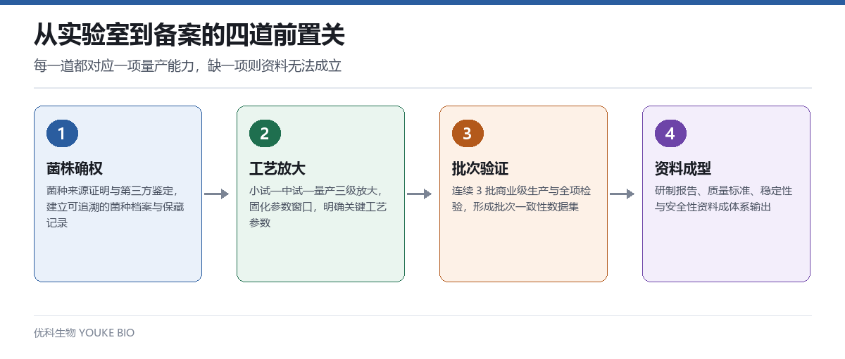 从实验室到备案的四道前置关:菌株确权、工艺放大、批次验证、资料成型