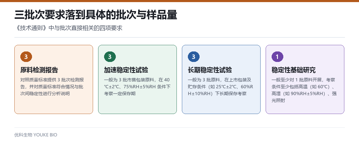 三批次要求的量化拆解:3批次检测报告、加速稳定性3批、长期稳定性3批、稳定性基础研究至少1批及各自考察条件
