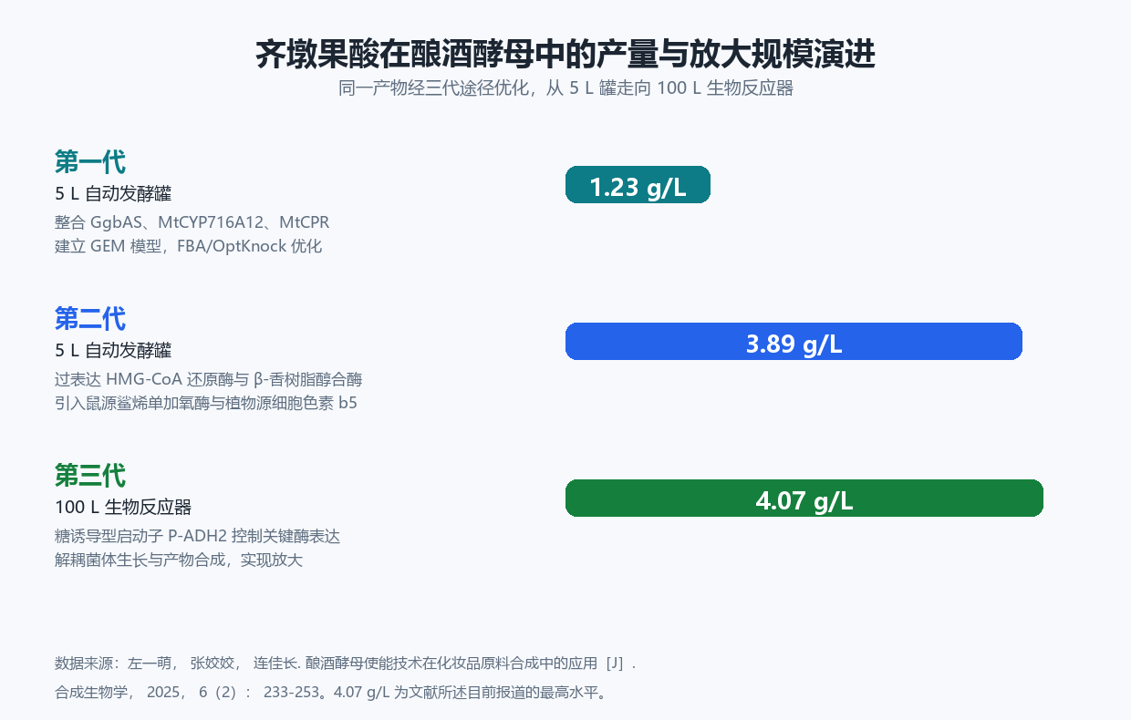 齐墩果酸在酿酒酵母中的产量与放大规模演进图