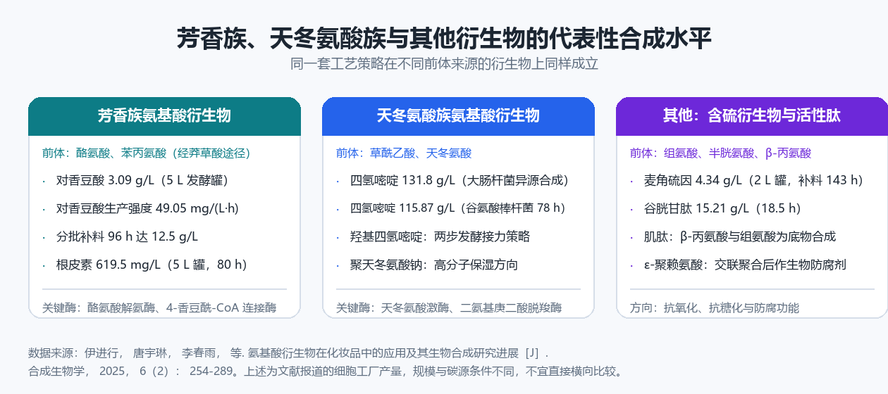 芳香族、天冬氨酸族与其他氨基酸衍生物的代表性合成水平卡片图