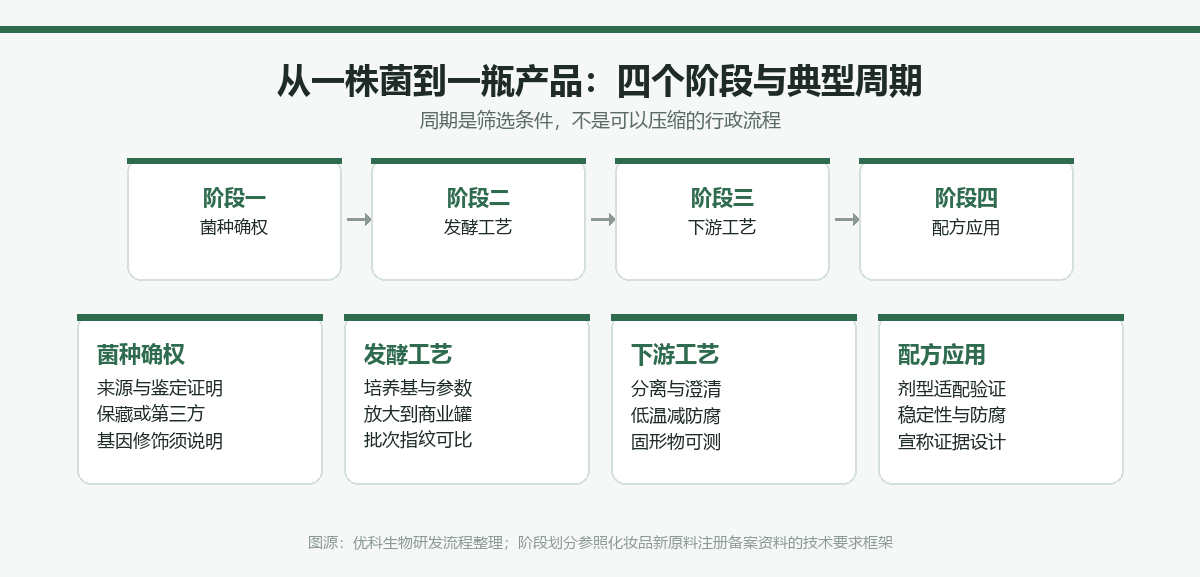 从一株菌到一瓶产品的四个阶段:菌种确权、发酵工艺、下游工艺、配方应用,各阶段的关键交付物