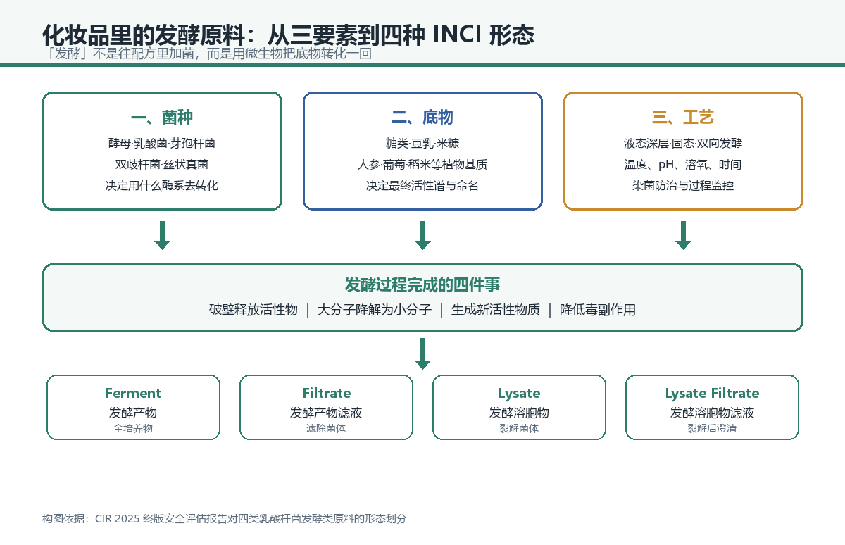化妆品用发酵原料的三要素与四种 INCI 形态示意图