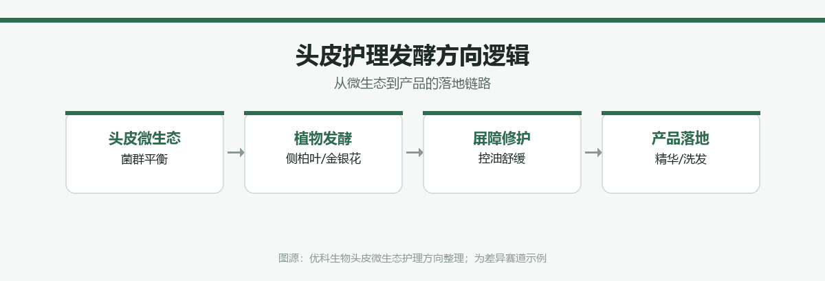 头皮护理发酵方向逻辑图