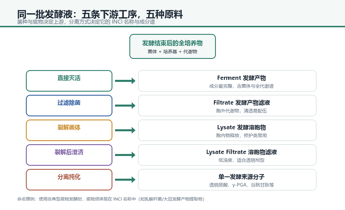 同一批发酵液经五条下游工序得到五种原料的流程图