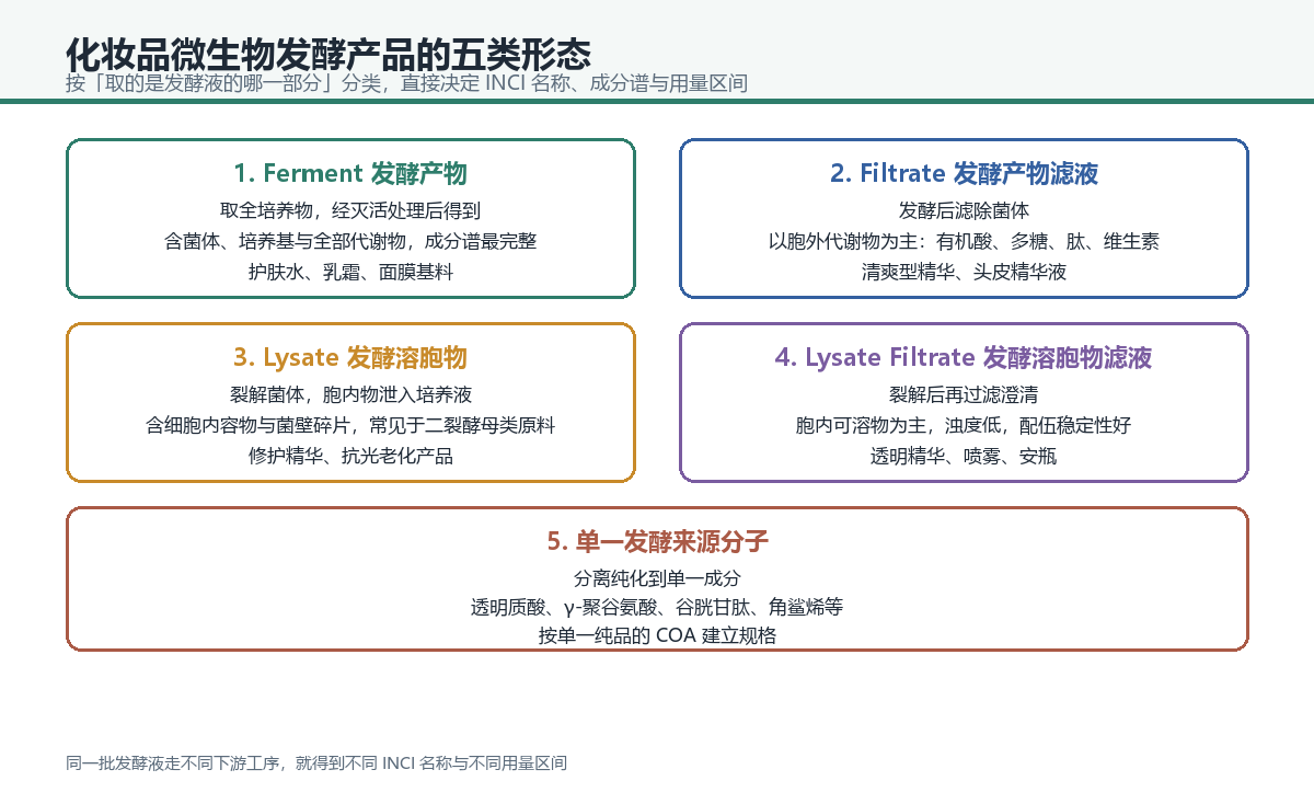 化妆品微生物发酵产品的五类形态:发酵产物、发酵产物滤液、发酵溶胞物、发酵溶胞物滤液与单一发酵来源分子