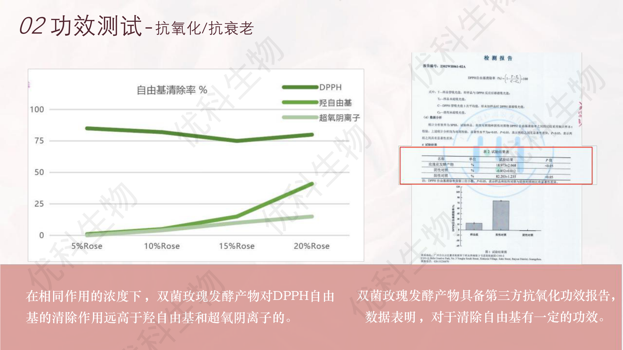 双菌玫瑰发酵产物抗氧化功效:DPPH自由基清除率18.973%,对DPPH清除作用远高于羟自由基和超氧阴离子