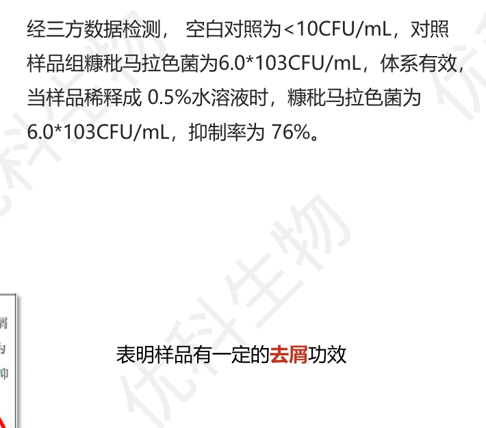 去屑检测：金银花发酵产物0.5%水溶液对糠秕马拉色菌抑制率76%，表明有一定去屑功效