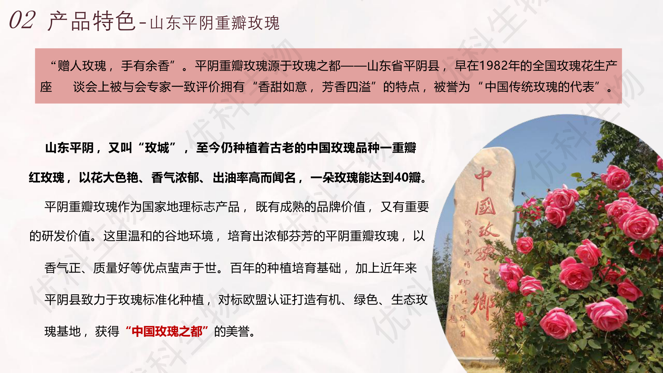 双菌玫瑰发酵产物产地溯源:山东平阴重瓣玫瑰、中国玫瑰之都、国家地理标志产品