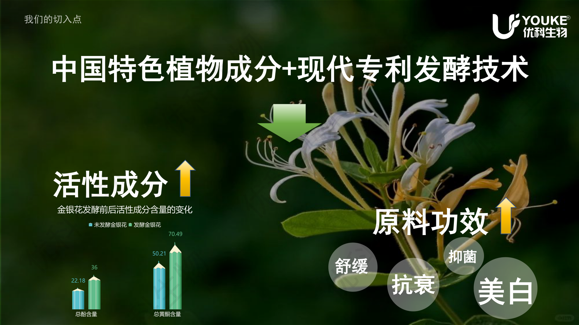 金银花发酵前后活性成分变化：总酚22.18→50.21、总黄酮36→70.49，中国特色植物成分+现代专利发酵技术