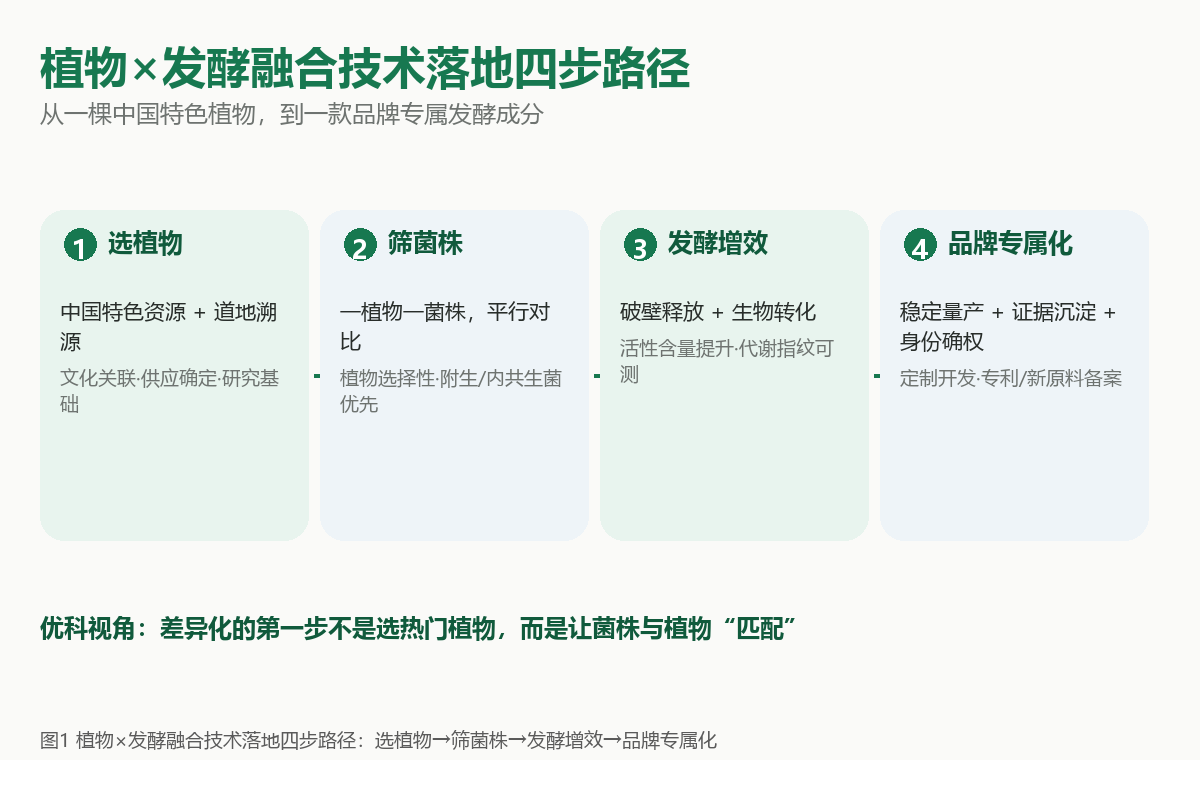 植物×发酵融合技术落地四步路径:选植物→筛菌株→发酵增效→品牌专属化