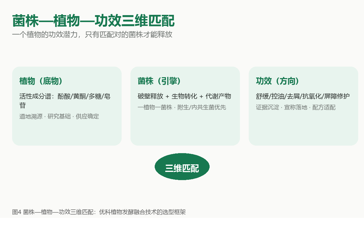 菌株—植物—功效三维匹配:植物(底物)、菌株(引擎)、功效(方向)