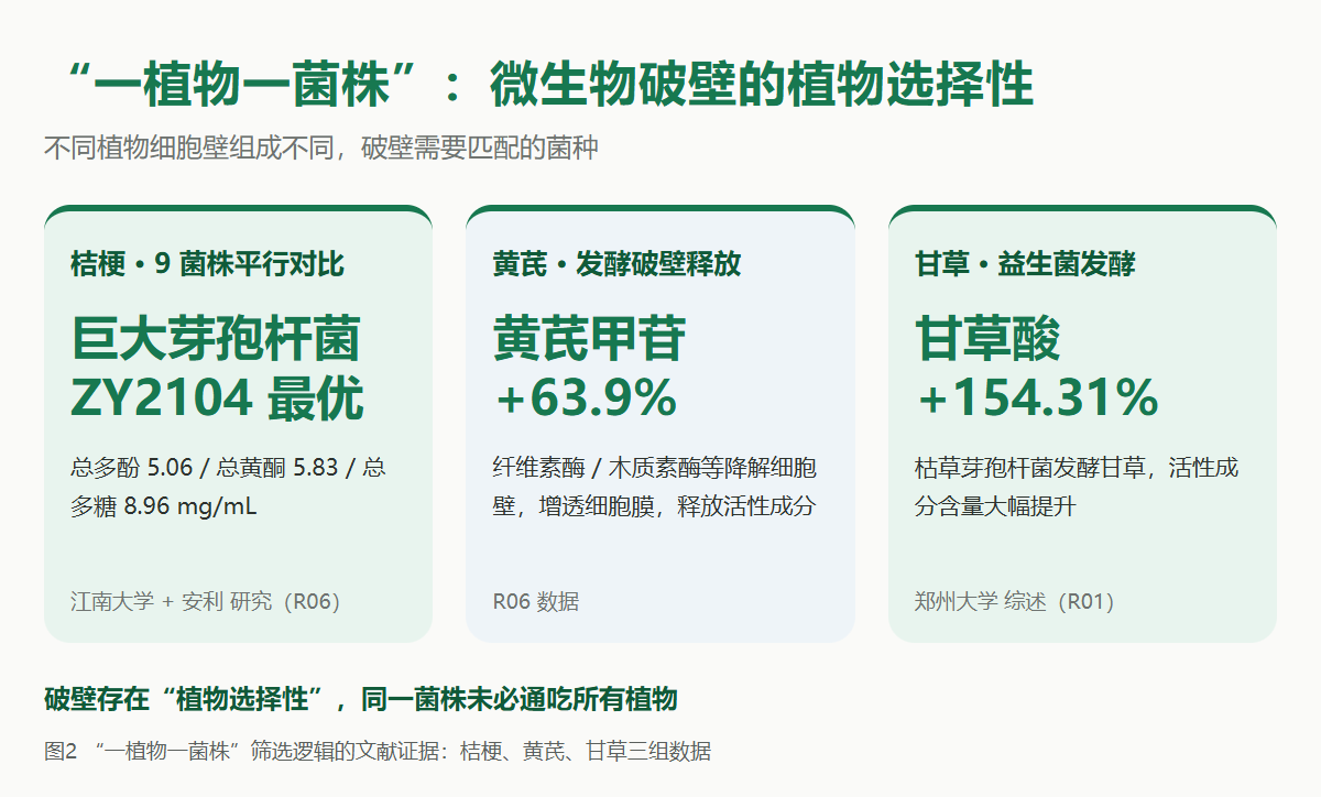 一植物一菌株的文献证据:桔梗9菌株平行对比、黄芪甲苷+63.9%、甘草酸+154.31%