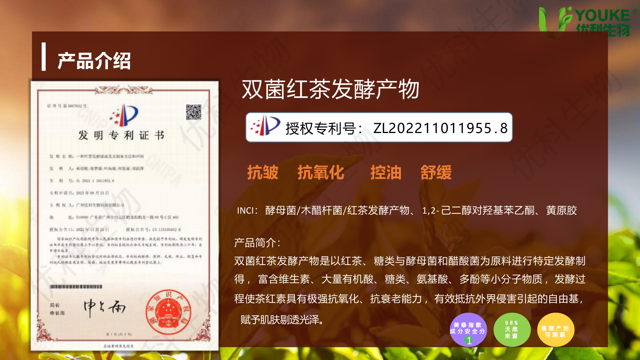 双菌红茶发酵产物产品介绍:云南高山古树红茶、酵母菌+木醋杆菌双菌共生专利发酵、抗皱抗氧化控油舒缓