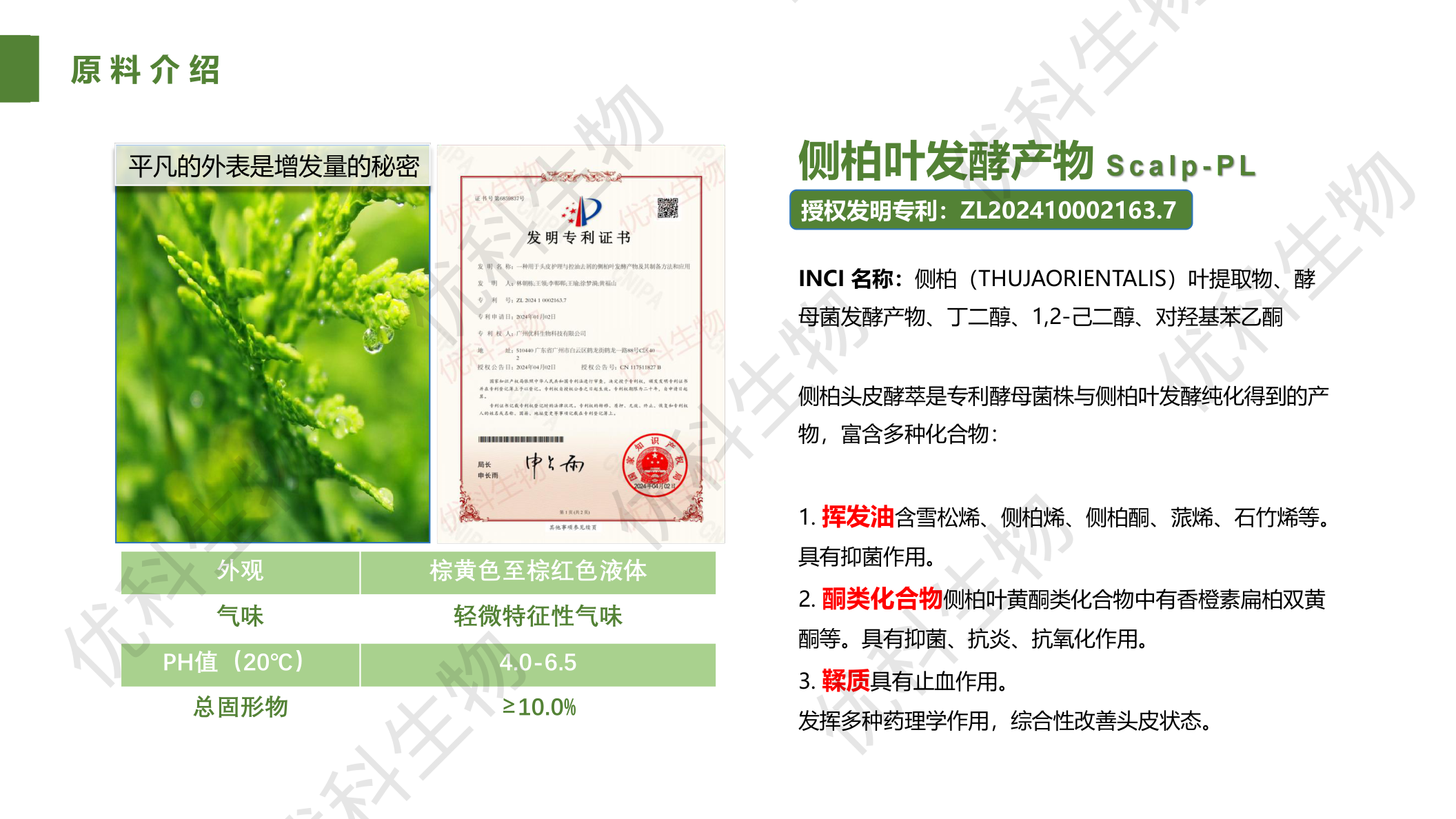 侧柏叶发酵产物产品介绍：授权发明专利ZL202410002163.7、专利酵母菌株发酵纯化、挥发油黄酮鞣质多类化合物