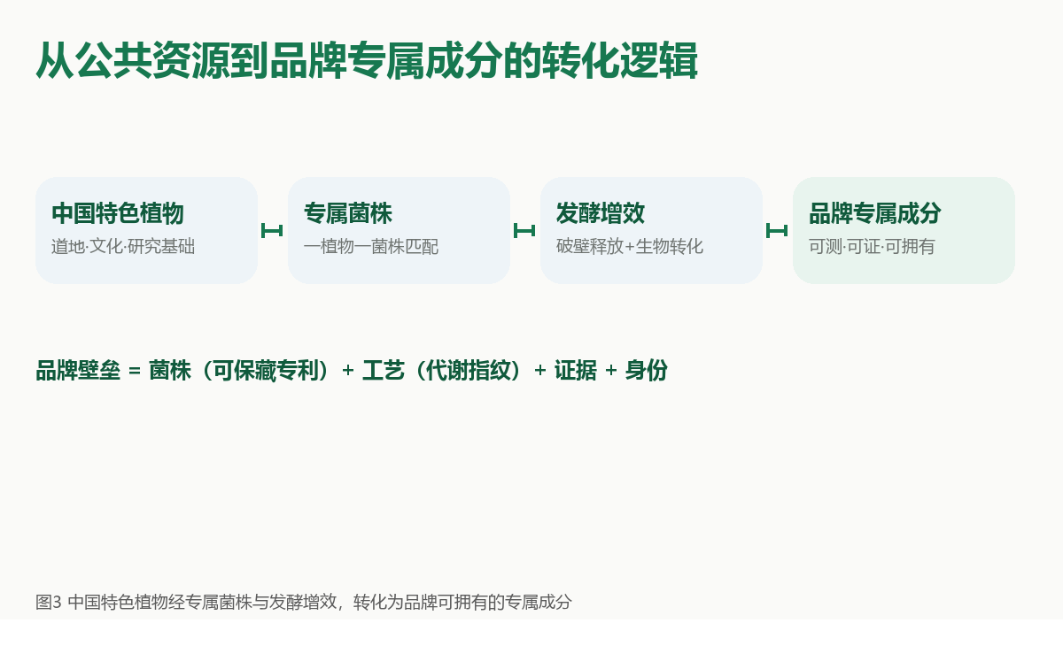 从中国特色植物到品牌专属成分的转化逻辑:中国特色植物→专属菌株→发酵增效→品牌专属成分