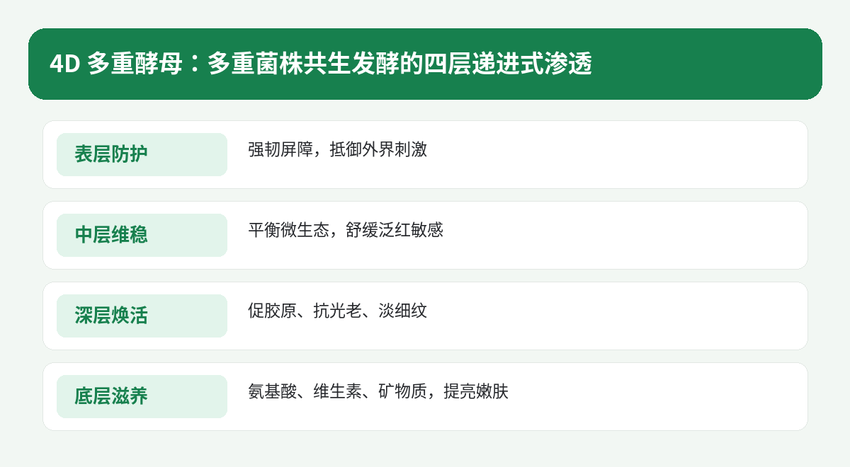 4D多重酵母四层递进式渗透:表层防护、中层维稳、深层焕活、底层滋养
