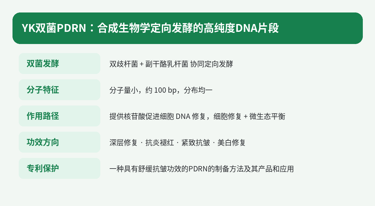 YK双菌PDRN技术要点:双菌发酵、分子量约100bp、细胞修护与微生态平衡双重路径
